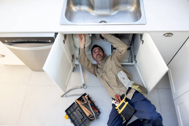 Best Local Plumber Services  in Level Plains, AL