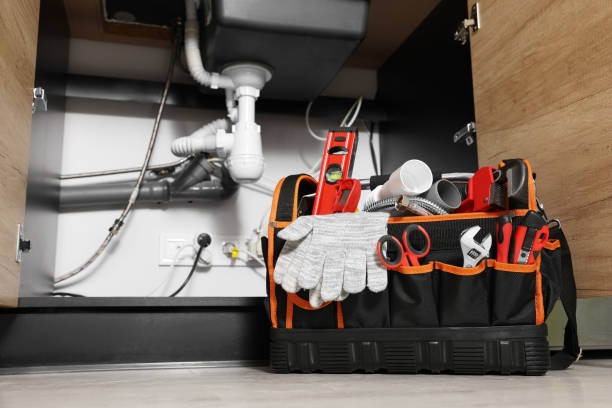 Best Septic Systems  in Level Plains, AL