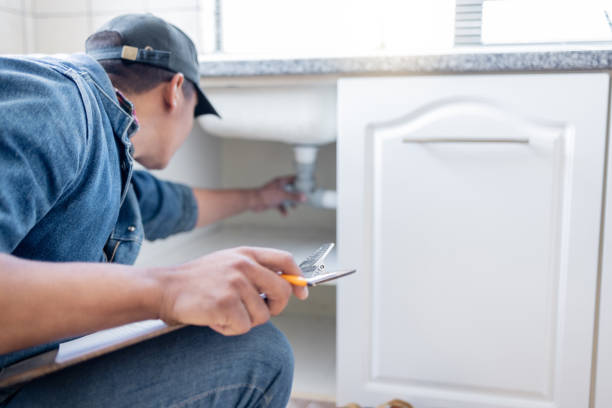 Best Shower Repair Services  in Level Plains, AL