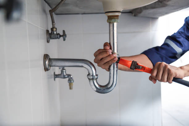 Best Residential Plumbing Services  in Level Plains, AL