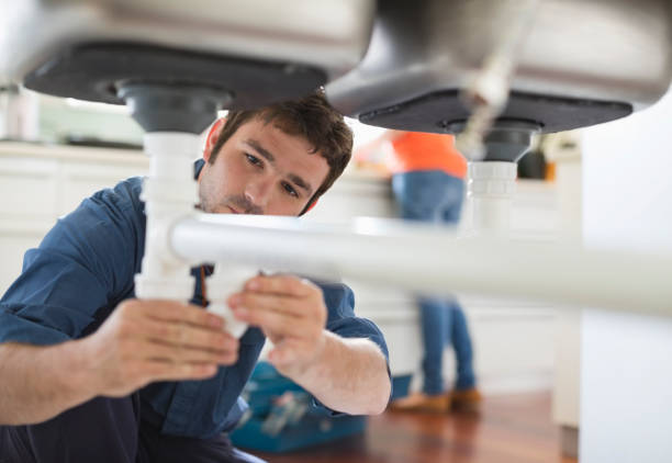 Best Plumbing Inspection Services  in Level Plains, AL