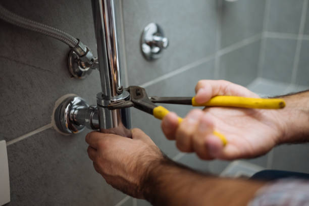 Best Drain Cleaning Services  in Level Plains, AL