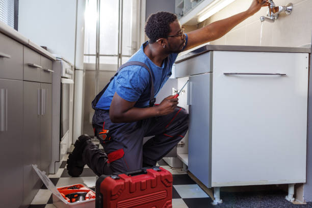 Best Drain Cleaning Services  in Level Plains, AL