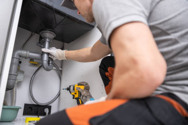 Best Water Heater Repair  in Level Plains, AL